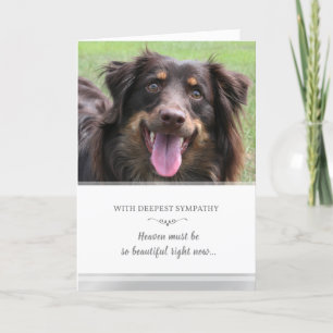Hunde Beileid Custom FOTO Himmel muss schön sein Karte