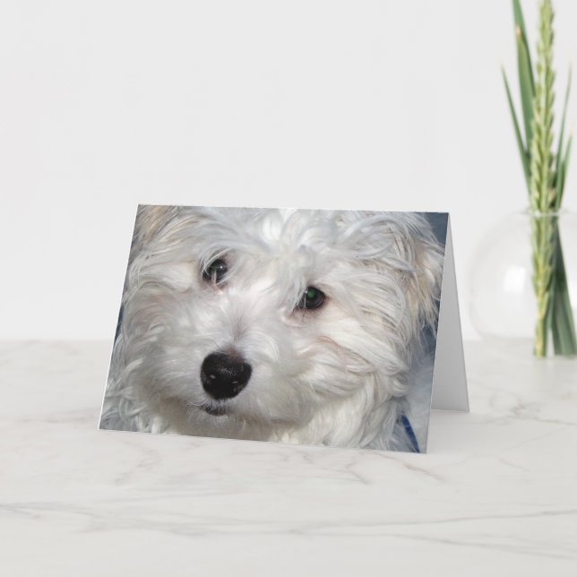 Hunde-Beileid Karte (Vorderseite)
