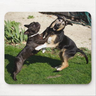 Hunde bekämpfen mousepad