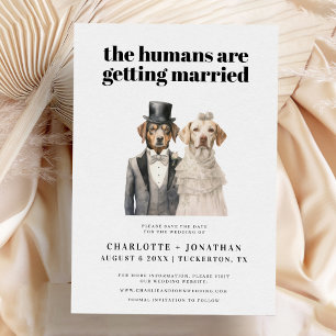 Hunde-Braut und Bräutigam Lustige Hochzeit Save th The Date