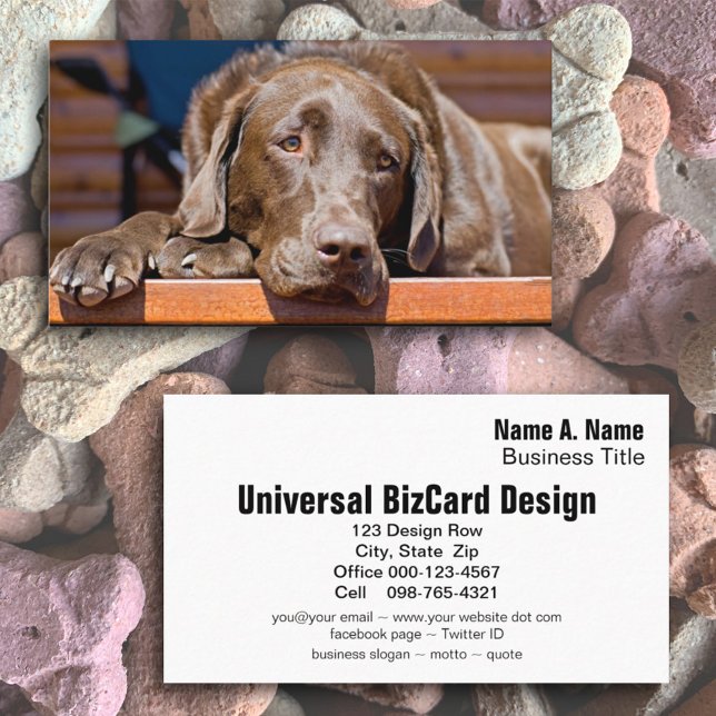 Hunde Care Business Schokolade Labrador Retriever Visitenkarte (Von Creator hochgeladen)