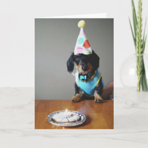 Hunde Dackel Geburtstagskarte Karte