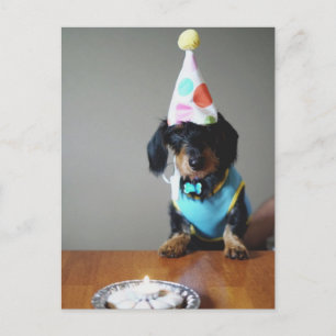 Hunde Dackel Geburtstagskarte Postkarte