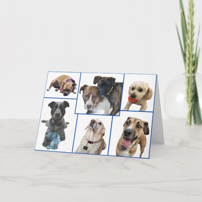 Hunde des Johnston-Landkreises Karte (Vorderseite)