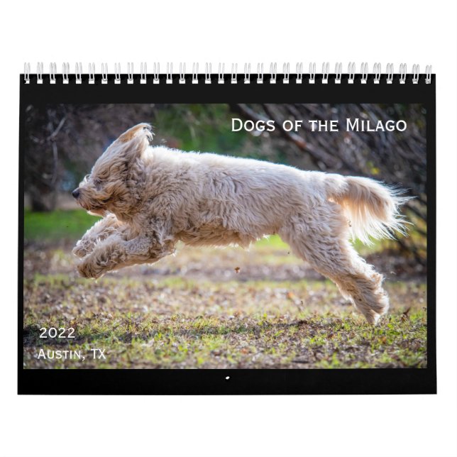 Hunde des Milchkalenders Kalender (Titelbild)