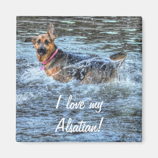 Hunde-Designs für Heimtiere Magnet (Vorne)