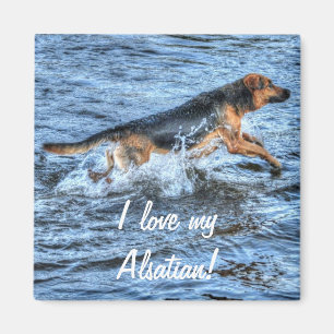 Hunde-Designs für Heimtiere Magnet