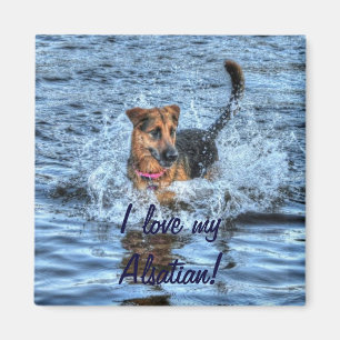 Hunde-Designs für Heimtiere Magnet