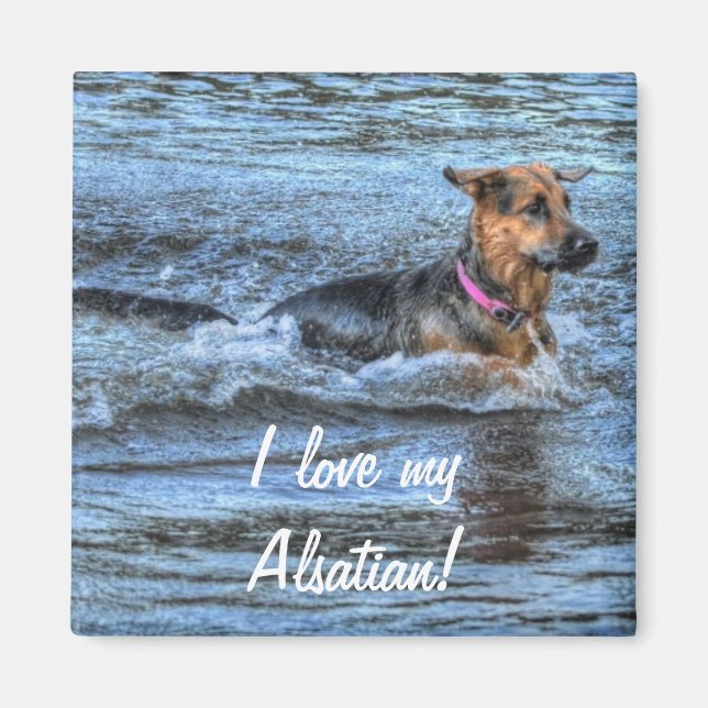 Hunde-Designs für Heimtiere Magnet (Vorne)