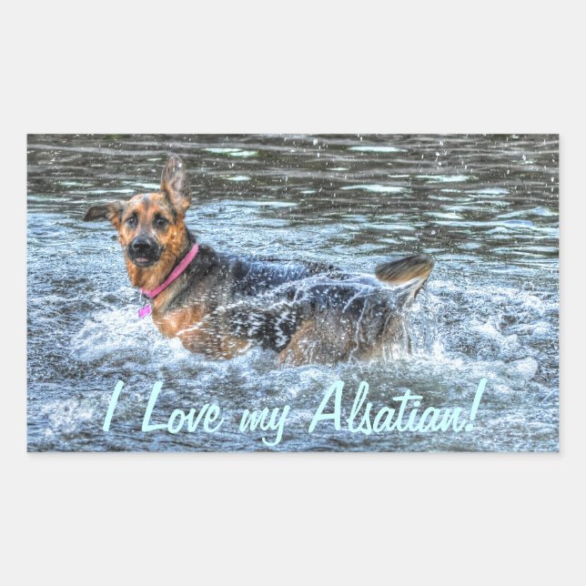 Hunde-Designs für Heimtiere Rechteckiger Aufkleber (Vorderseite)