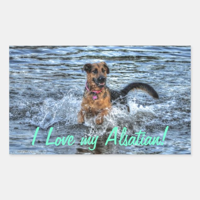 Hunde-Designs für Heimtiere Rechteckiger Aufkleber (Vorderseite)