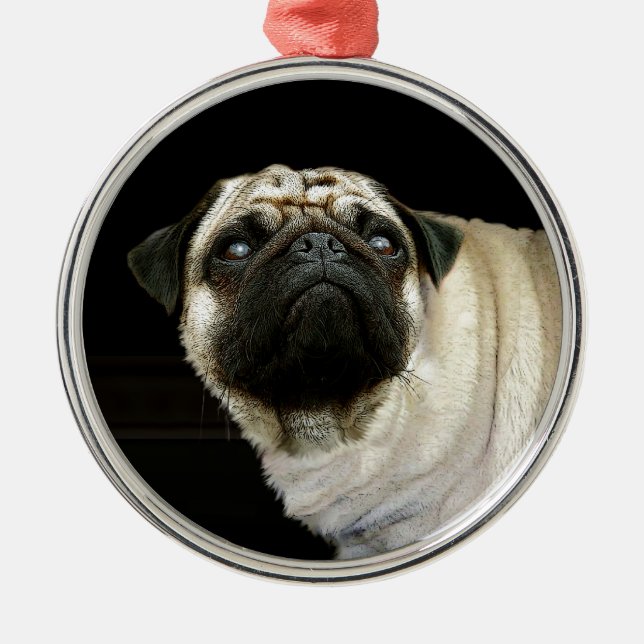 Hunde-Designs für Heimtiere Silbernes Ornament (Vorne)