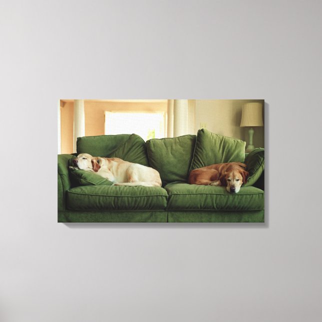 Hunde, die auf einem Sofa schlafen Leinwanddruck (Vorderseite)