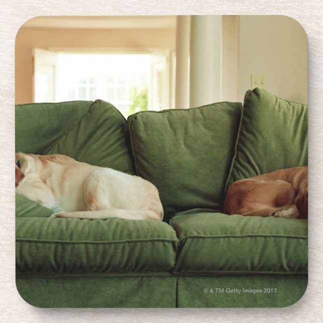 Hunde, die auf Sofa schlafen Getränkeuntersetzer (Vorderseite)