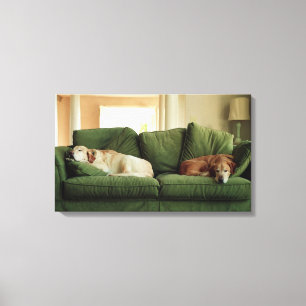 Hunde, die auf Sofa schlafen Leinwanddruck