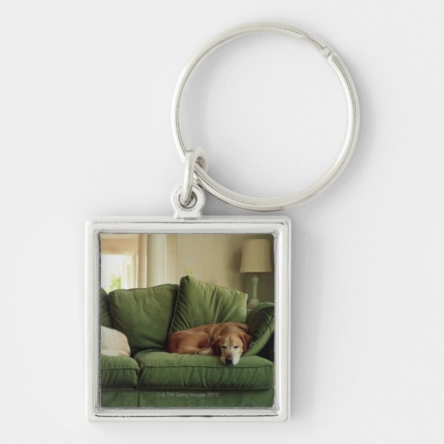 Hunde, die auf Sofa schlafen Schlüsselanhänger (Vorne)