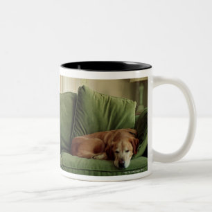 Hunde, die auf Sofa schlafen Zweifarbige Tasse