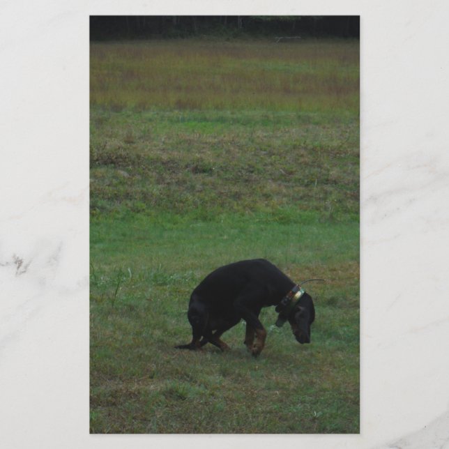 Hunde, die die Jagd aufgeben Briefpapier (Vorderseite)