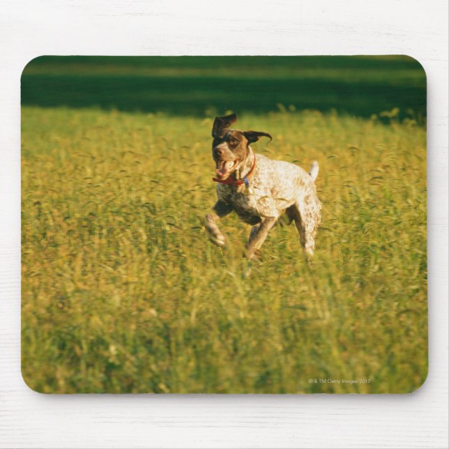 Hunde, die durch Gras laufen Mousepad (Vorne)