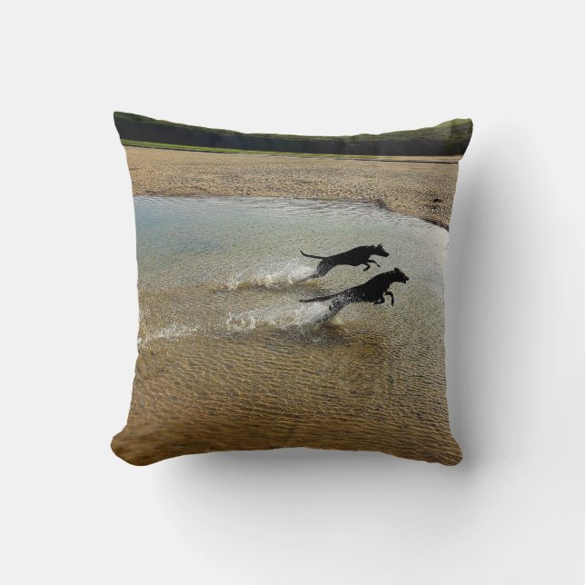 Hunde, die durch Wasser begrenzt werden, Gannel Ri Kissen (Vorderseite)