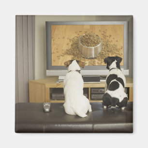 Hunde, die im Fernsehen Hundeteller mit Nahrung Magnet