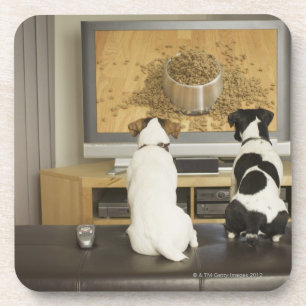 Hunde, die im Fernsehen Hundeteller mit Nahrung Untersetzer
