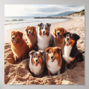 Hunde, die im Sommer am Strand spielen Poster