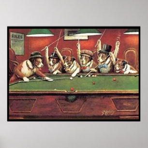 Hunde, die Pool - Diskussion des Schusses spielen Poster