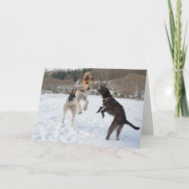 Hunde, die Spaß im Schnee Weihnachten haben