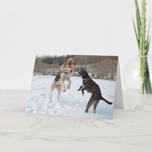 Hunde, die Spaß im Schnee Weihnachten haben (Vorderseite)