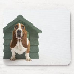 Hunde durch Hundehaus Mousepad