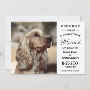 Hunde Ehrenretter Foto Hochzeit speichern das Datu Save The Date