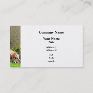 Hunde entspannen - Platinfinish Visitenkarte