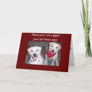 HUNDE ERMUTIGEN ZU GENESEN KARTE