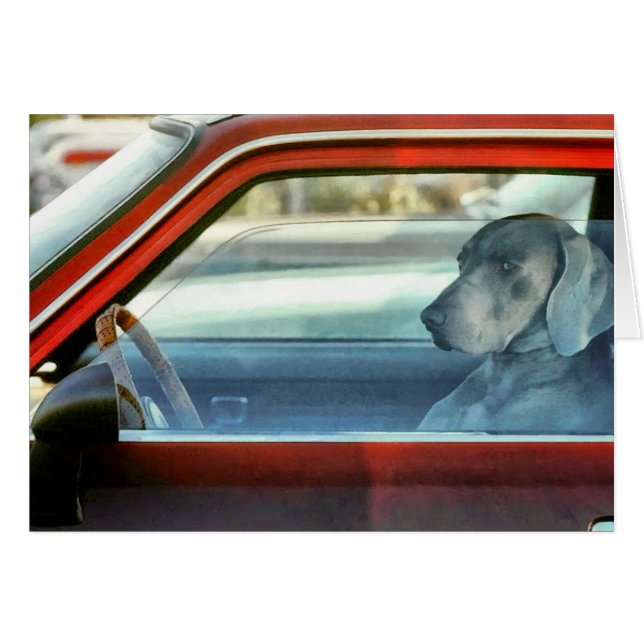 Hunde Fahrer (Vorderseite (Horizontal))