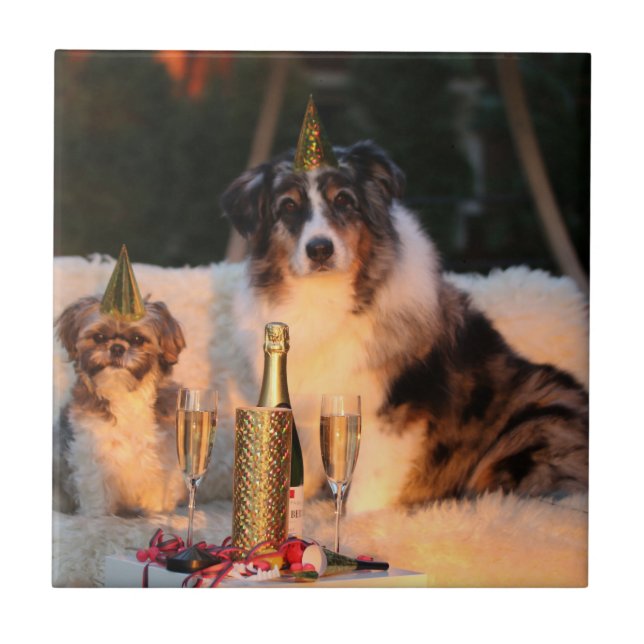 Hunde feiern neues Jahr Fliese (Vorderseite)