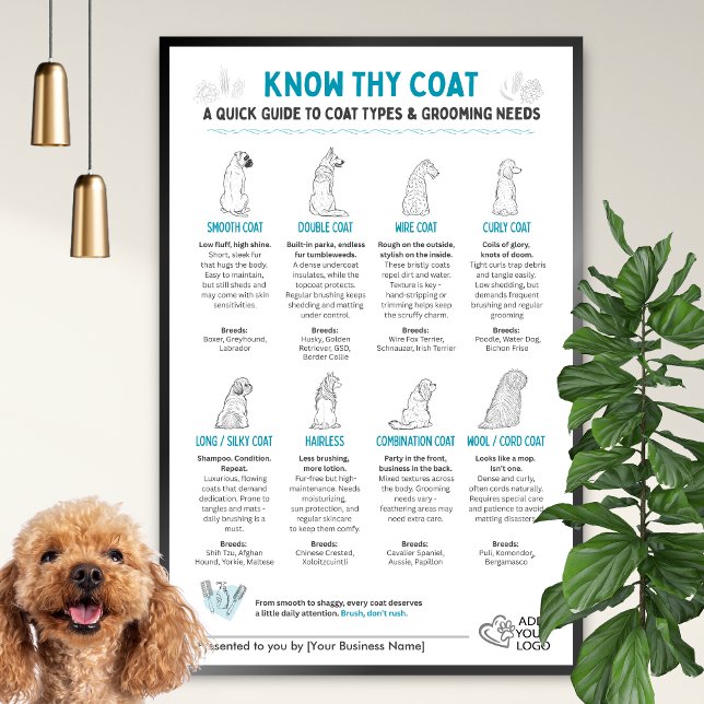 Hunde Felltypen Diagramm - Wandraum für Hundefrise Poster (Von Creator hochgeladen)