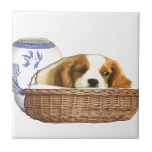 Hunde Fliese