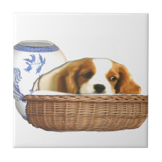 Hunde Fliese (Vorderseite)