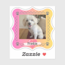 Hunde-Foto auf rosa/gelber Gradientenhintergrund