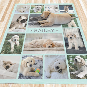 Hunde-Foto-Collage Einfach Modern Türkis Blau und Fleecedecke