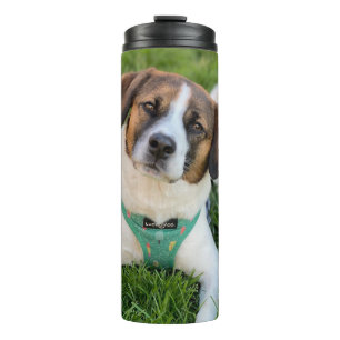 Hunde-Foto Fügen Sie Ihr Foto hinzu Thermosbecher