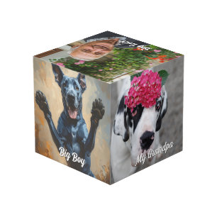 Hunde-Foto-Geschenk Kunst für Ihr Büro Würfel