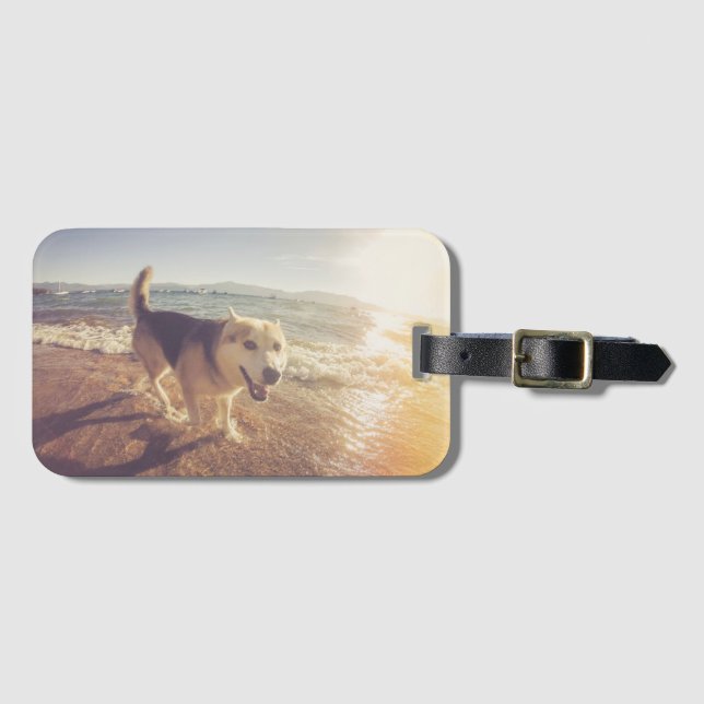 Hunde Foto Geschenk Personalisiert Gepäckanhänger (Vorderseite (Horizontal))