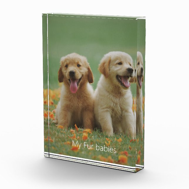 Hunde Foto mein Pelztierkinder Foto Block (Rechts)