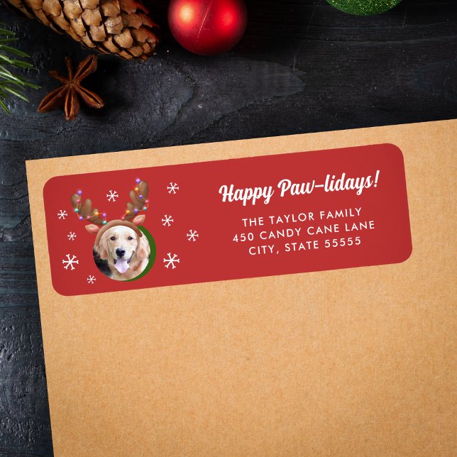 Hunde Foto mit Rentier Antler Hat Weihnachten (Von Creator hochgeladen)