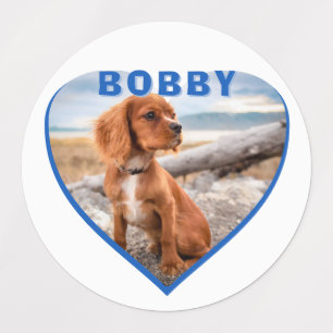Hunde Foto Name Blue Heart Dog Etiketten