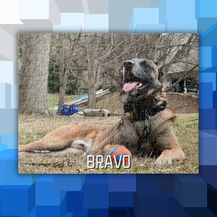 Hunde-Foto & Name, Familienabend, Cooles, lustiges