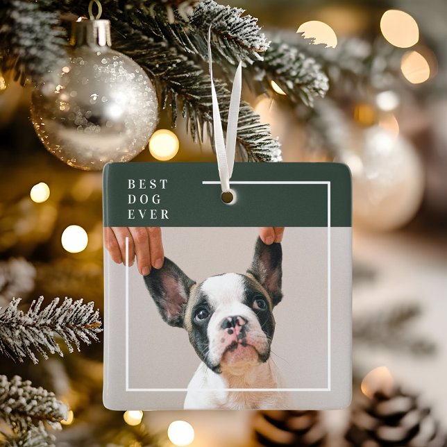 Hunde-Foto-Ornament | Bester Hund überhaupt Modern Keramikornament (Von Creator hochgeladen)