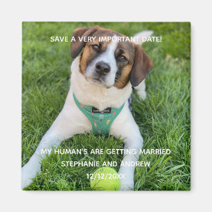 Hunde-Foto-Save-The-Date-Verlobungskarte Magnet
